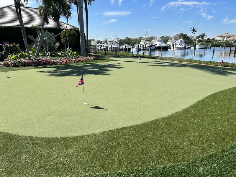 Front yard synthetic grass