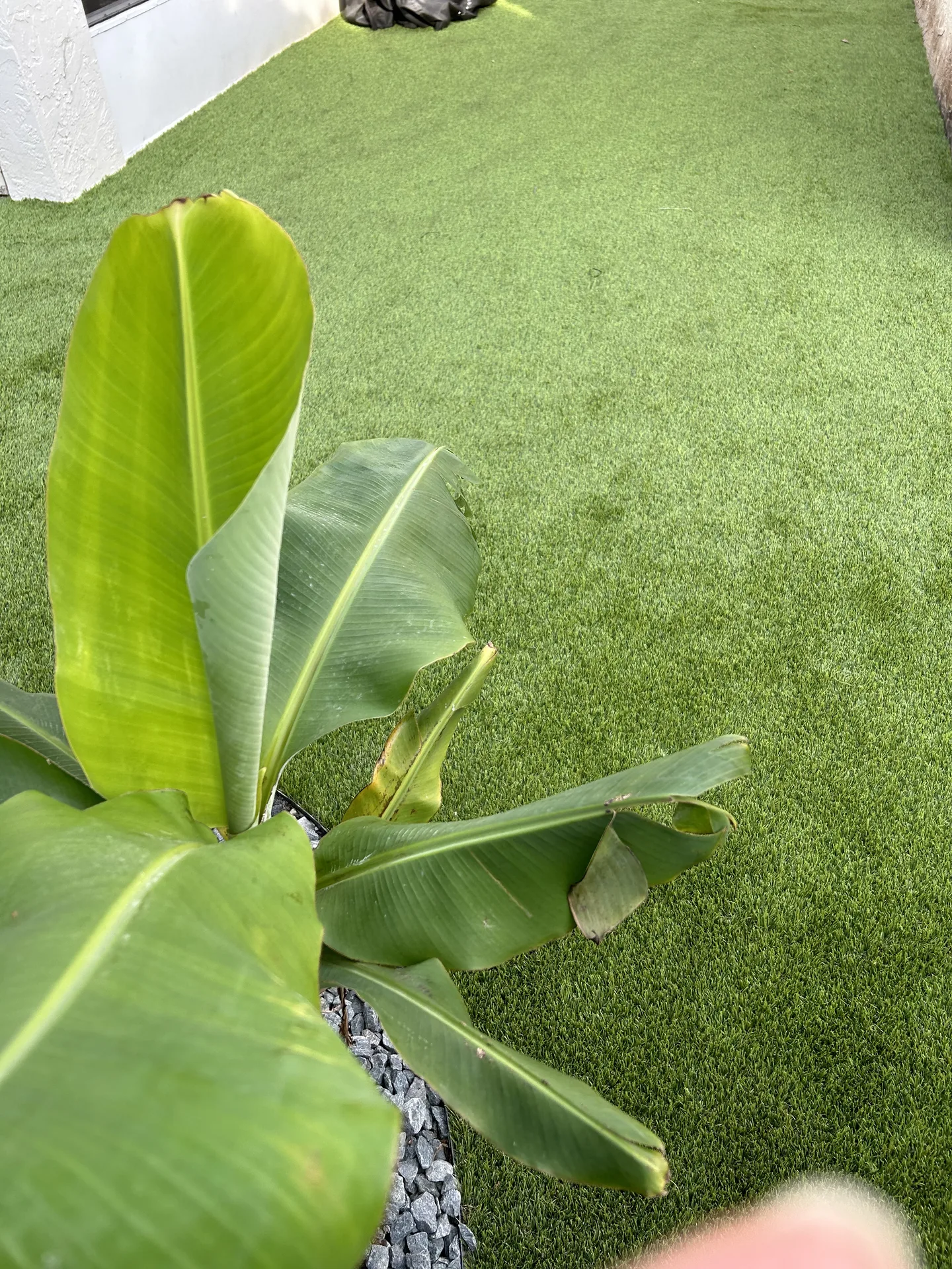 Playground turf